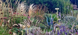 dry-garden-planting-combination (1)